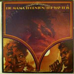 Big Mama Thornton - The Way It Is album cover