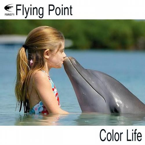 lataa albumi Flying Point - Color Life