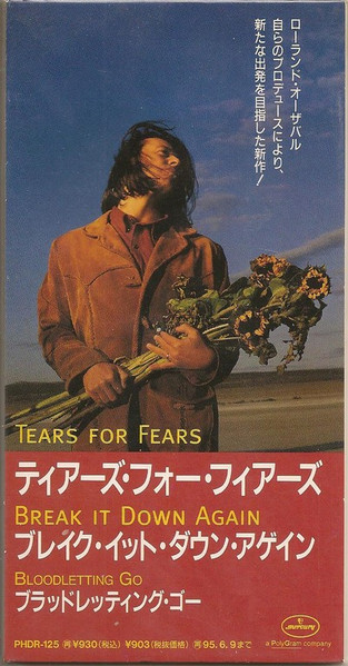 Tears for Fears – Break It Down Again Lyrics