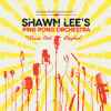 Shawn Lee's Ping Pong Orchestra - Music And Rhythm