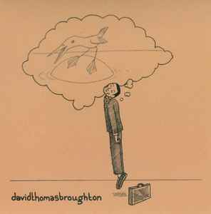 David Thomas Broughton - The Complete Guide To Insufficiency album cover
