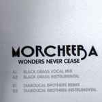 Cover of Wonders Never Cease, 2005, Vinyl