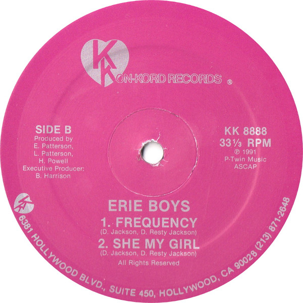 lataa albumi Erie Boys - Looking Forward To The Day