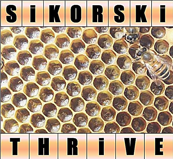 descargar álbum Sikorski - Thrive