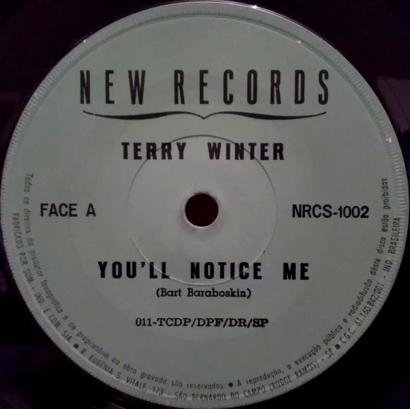 descargar álbum Terry Winter - Youll Notice Me