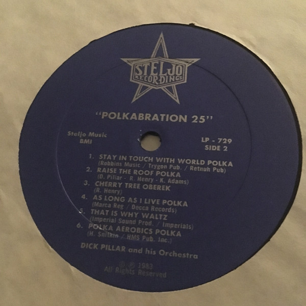 Album herunterladen Dick Pillar And His Orchestra - Polkabration 25
