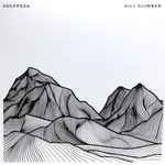 Vulfpeck – Hill Climber (2018, First Pressing, Vinyl) - Discogs