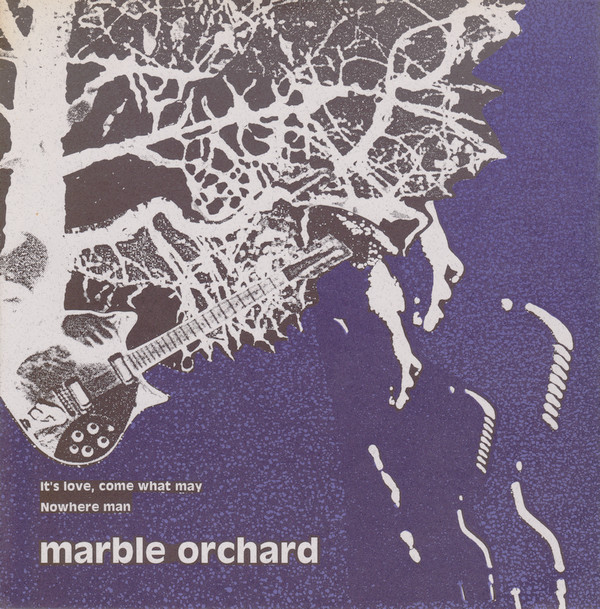lataa albumi The Surf Trio Marble Orchard - Dis Cover Series Vol 2