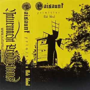 Paisaunt - Primitiue Blak Metal album cover