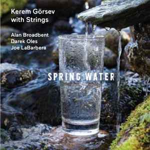 Spring Water - Kerem Görsev With Strings
