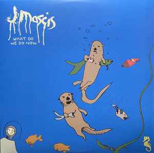 J Mascis - What Do We Do Now album cover