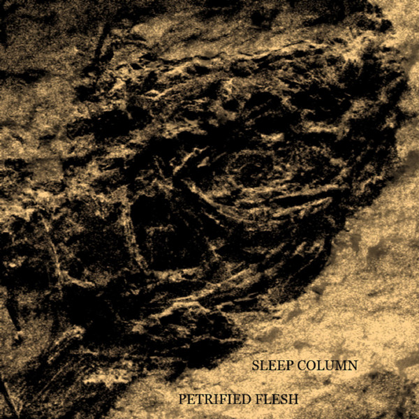 Album herunterladen Sleep Column - Petrified Flesh