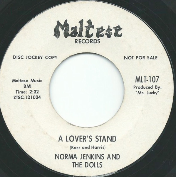 Album herunterladen Norma Jenkins And The Dolls - The Airplane Song