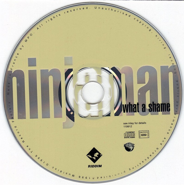 Album herunterladen Ninjaman - What a Shame