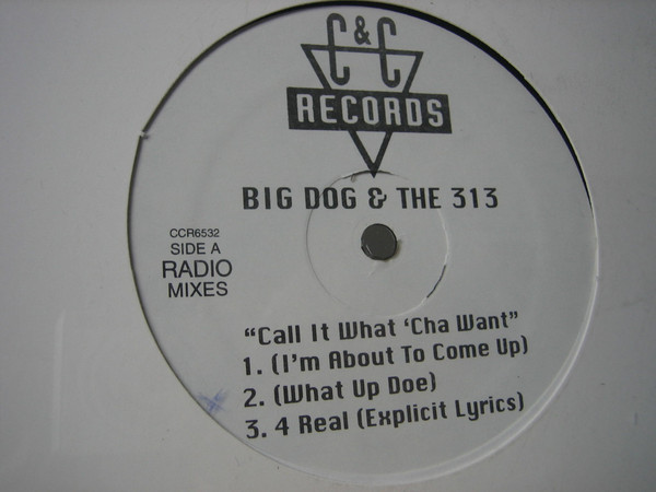 Big Dog – Call It What'cha Want (1995, Vinyl) - Discogs