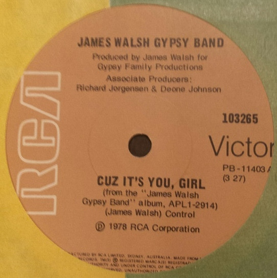 James Walsh Gypsy Band – Cuz It's You Girl (1978, Vinyl) - Discogs