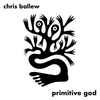 Chris Ballew - Primitive God