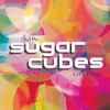 The Sugarcubes - Live Zabor