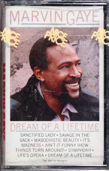 Marvin Gaye, Dream Of A Lifetime