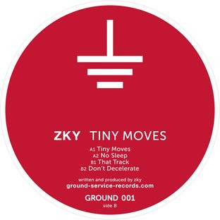 ladda ner album ZKY - Tiny Moves