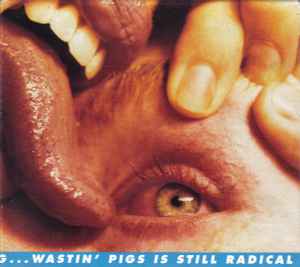 The Flaming Lips - Yeah, I Know It's A Drag...Wastin' Pigs Is Still Radical album cover