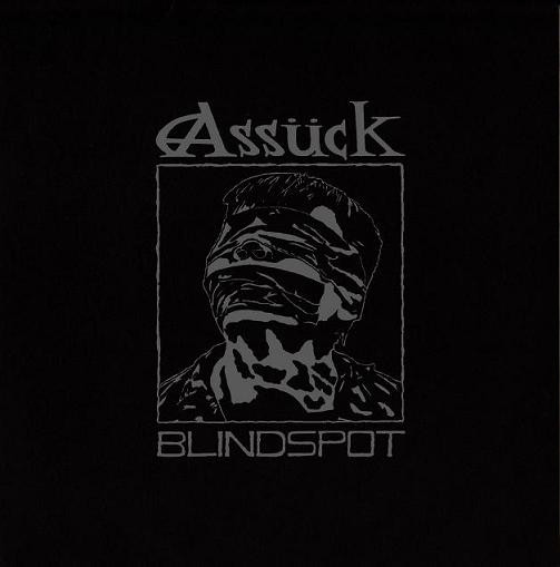 Assück – Blindspot (1999, Vinyl) - Discogs