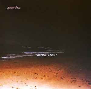 Puma Blue – In Praise Of Shadows (2021, Clear Milky, Vinyl) - Discogs
