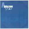 Alphazone - Stay (Kenny Palmer Rework)